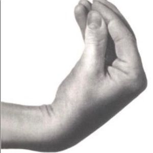 Meet your Posher, Giuseppe